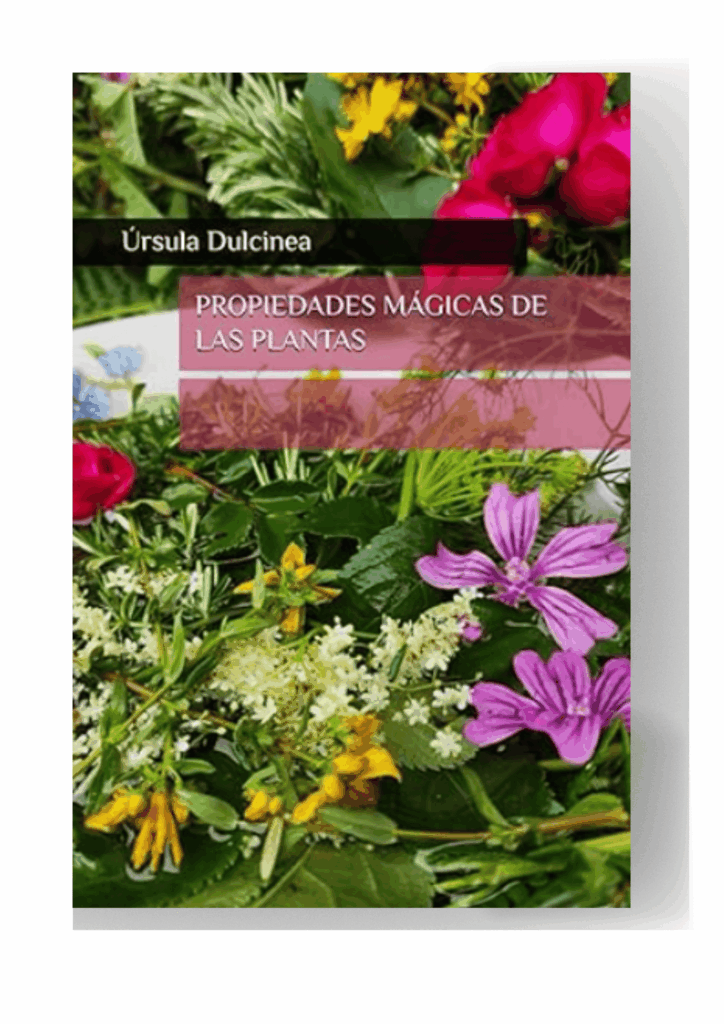 Ramo de San Juan en la portada del Manual Propiedades mágicas de las Plantas.